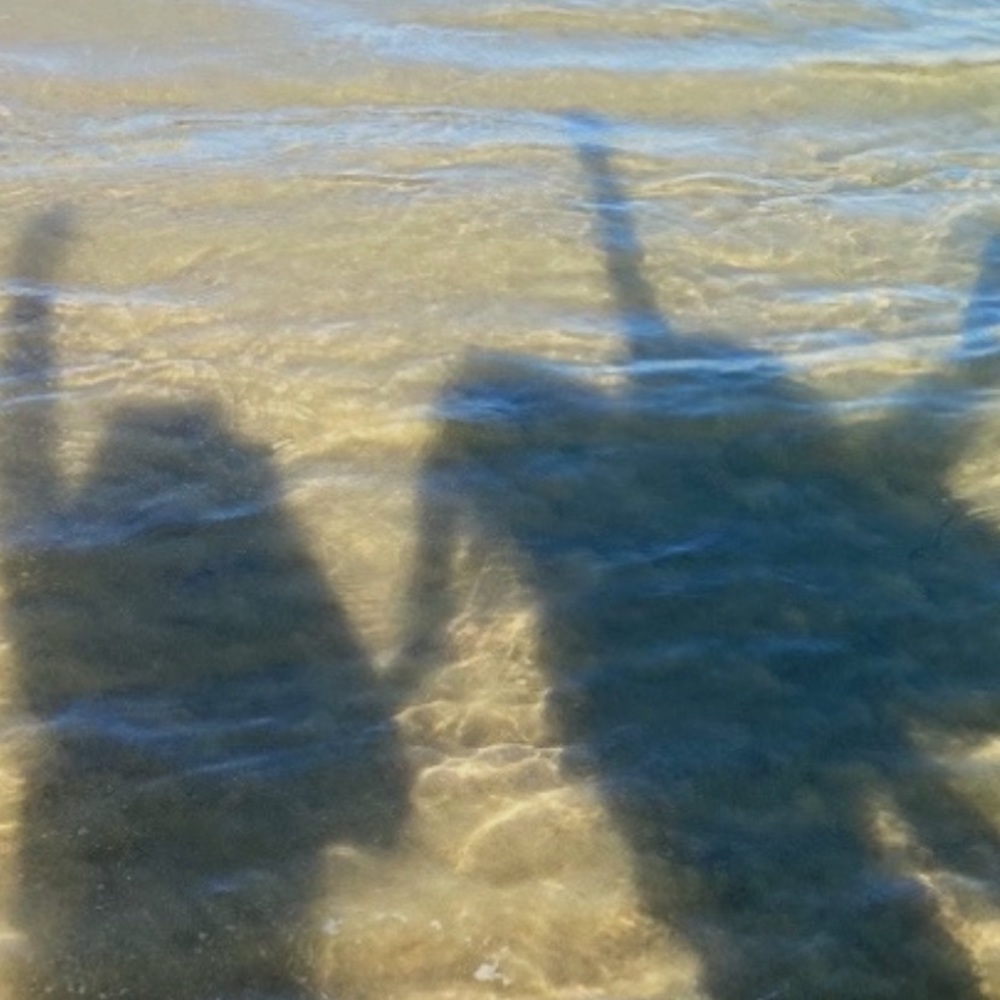 Meet your Posher, Lucy